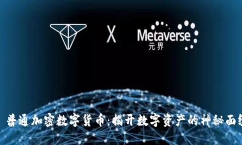 : 普通加密数字货币:揭开数字资产的神秘面纱