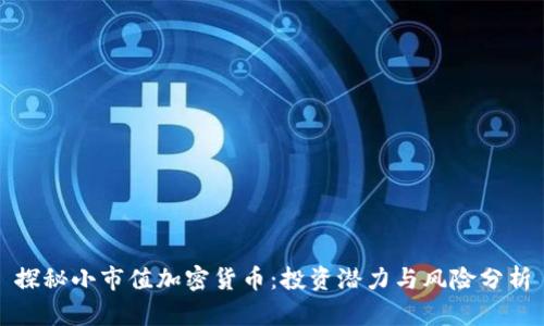 探秘小市值加密货币:投资潜力与风险分析