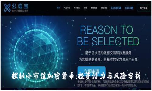 探秘小市值加密货币:投资潜力与风险分析