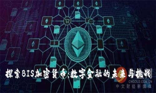 探索BIS加密货币:数字金融的未来与挑战