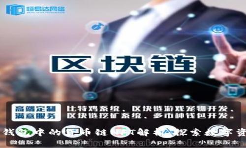 ### TP钱包中的货币链NFT解析:探索数字资产新未来