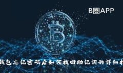 TP钱包忘记密码后如何找回助记词的详