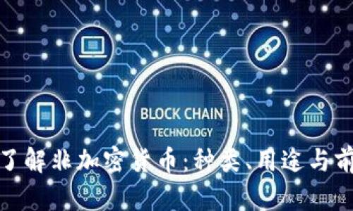 : 深入了解非加密货币：种类、用途与前景分析