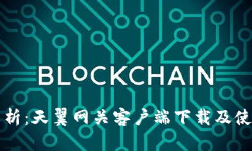 全面解析：天翼网关客户端下载及使用指南