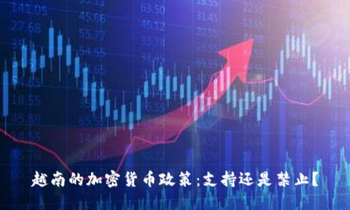 越南的加密货币政策:支持还是禁止?