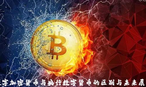 数字加密货币与央行数字货币的区别与未来展望