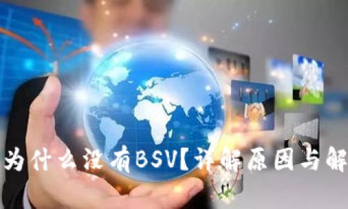 TP钱包为什么没有BSV?详解原因与解决方案