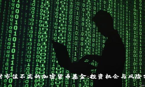 探讨市值不高的加密货币基金:投资机会与风险分析