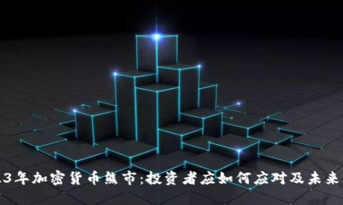 2023年加密货币熊市:投资者应如何应对及未来展望