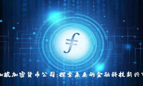新加坡加密货币公司:探索未来的金融科技新兴市场