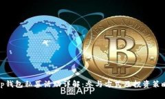 tp钱包私募活动详解：参与方式及投资