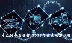 加密货币支付费用详解：2023年发展的