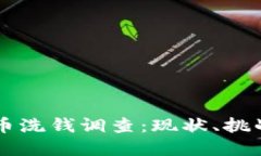 美国加密货币洗钱调查：现状、挑战与
