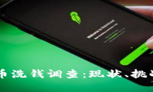 美国加密货币洗钱调查:现状、挑战与未来展望