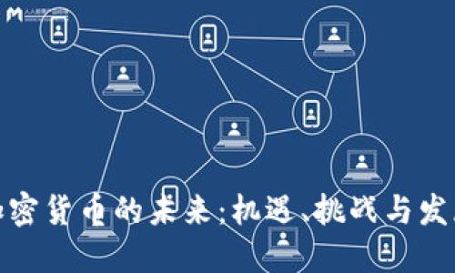 数字加密货币的未来:机遇、挑战与发展趋势