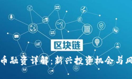 加密货币融资详解:新兴投资机会与风险分析