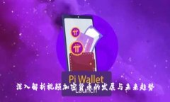 深入解析视频加密货币的发展与未来趋