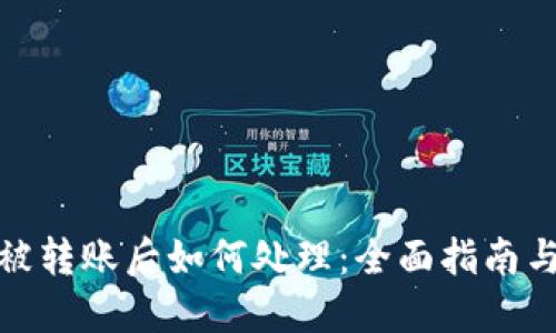 : TP钱包被转账后如何处理：全面指南与解决方案