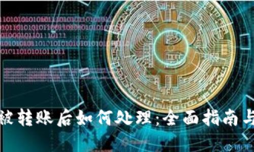 : TP钱包被转账后如何处理：全面指南与解决方案