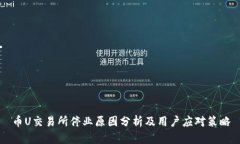 币U交易所停业原因分析及用户应对策