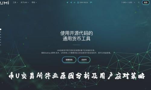 币U交易所停业原因分析及用户应对策略