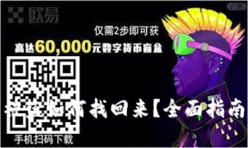 TP钱包被盗如何找回来?全面指南与建议