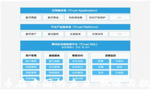 加密货币在中国的未来:机遇与挑战解析