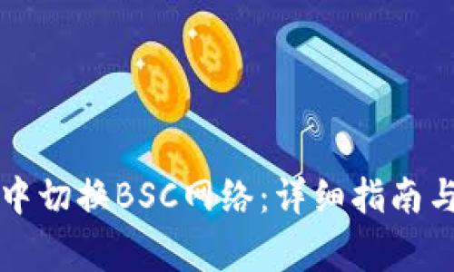 如何在TP钱包中切换BSC网络:详细指南与常见问题解答