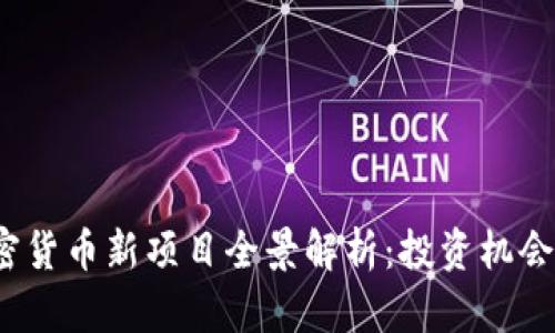 2023年加密货币新项目全景解析:投资机会与风险评估