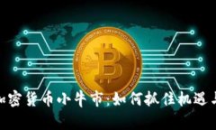  2023年加密货币小牛市：如何抓住机遇