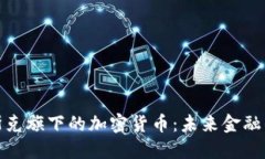 探索马斯克旗下的加密货币：未来金融