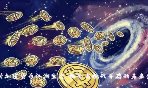 深入解析加密货币江湖生态:机会与挑战并存的未来金融世界