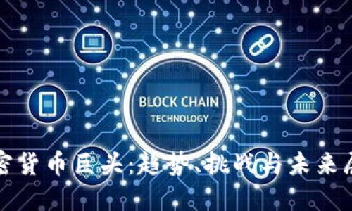 加密货币巨头:趋势、挑战与未来展望
