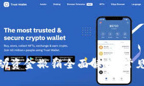 : tp钱包里的流动资金撤销全面解析:常见问题与解决方案