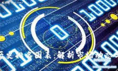 加密货币历史排名图表：解析市场动态