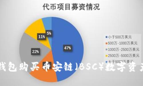 如何使用TP钱包购买币安链（BSC）数字资产的详细指南