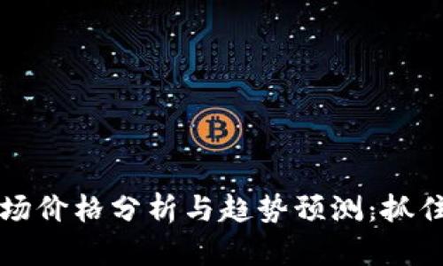 全球货币加密市场价格分析与趋势预测:抓住数字货币的未来