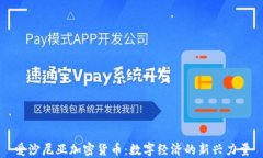 爱沙尼亚加密货币：数字经济的新兴力