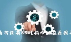 TP钱包里为何没有BSV？揭示潜在原因与