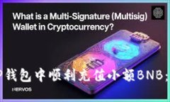 如何在TP钱包中顺利充值小额BNB：完整