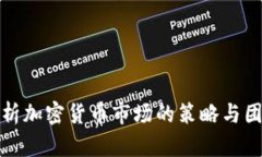深入分析加密货币市场的策略与团队构