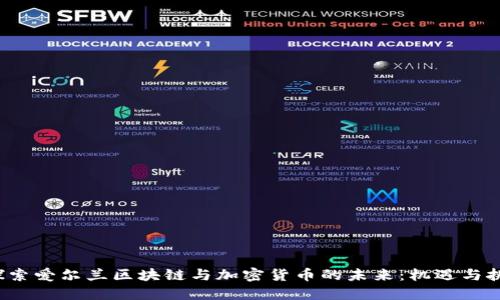 探索爱尔兰区块链与加密货币的未来:机遇与挑战