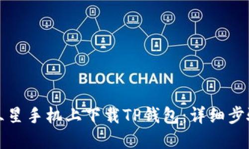 如何在三星手机上下载TP钱包:详细步骤与技巧