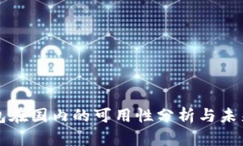 TP钱包在国内的可用性分析与未来展望