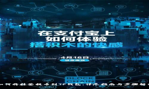 如何将抹茶提币到TP钱包:详尽指南与步骤解析