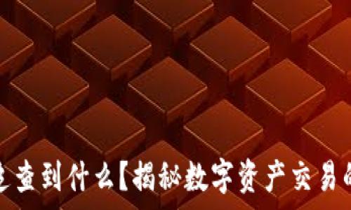 tp钱包交易记录能追查到什么?揭秘数字资产交易的透明性及隐私保护