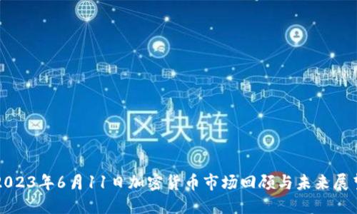 2023年6月11日加密货币市场回顾与未来展望