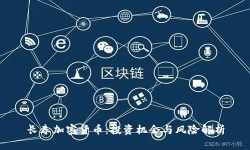 长春加密货币:投资机会与风险解析