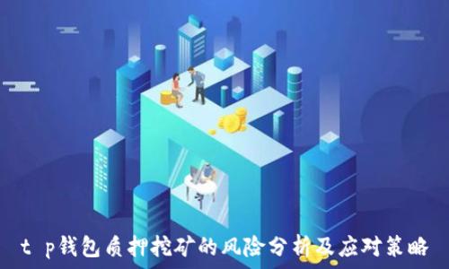 t p钱包质押挖矿的风险分析及应对策略