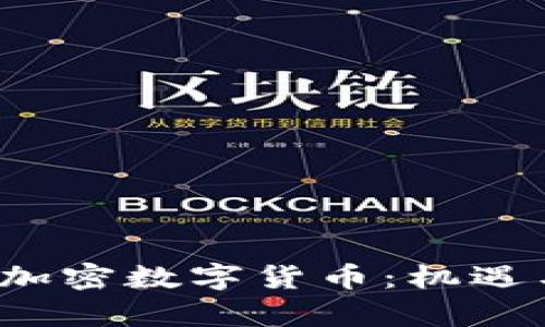 2023年新推出的加密数字货币:机遇与挑战的全面分析